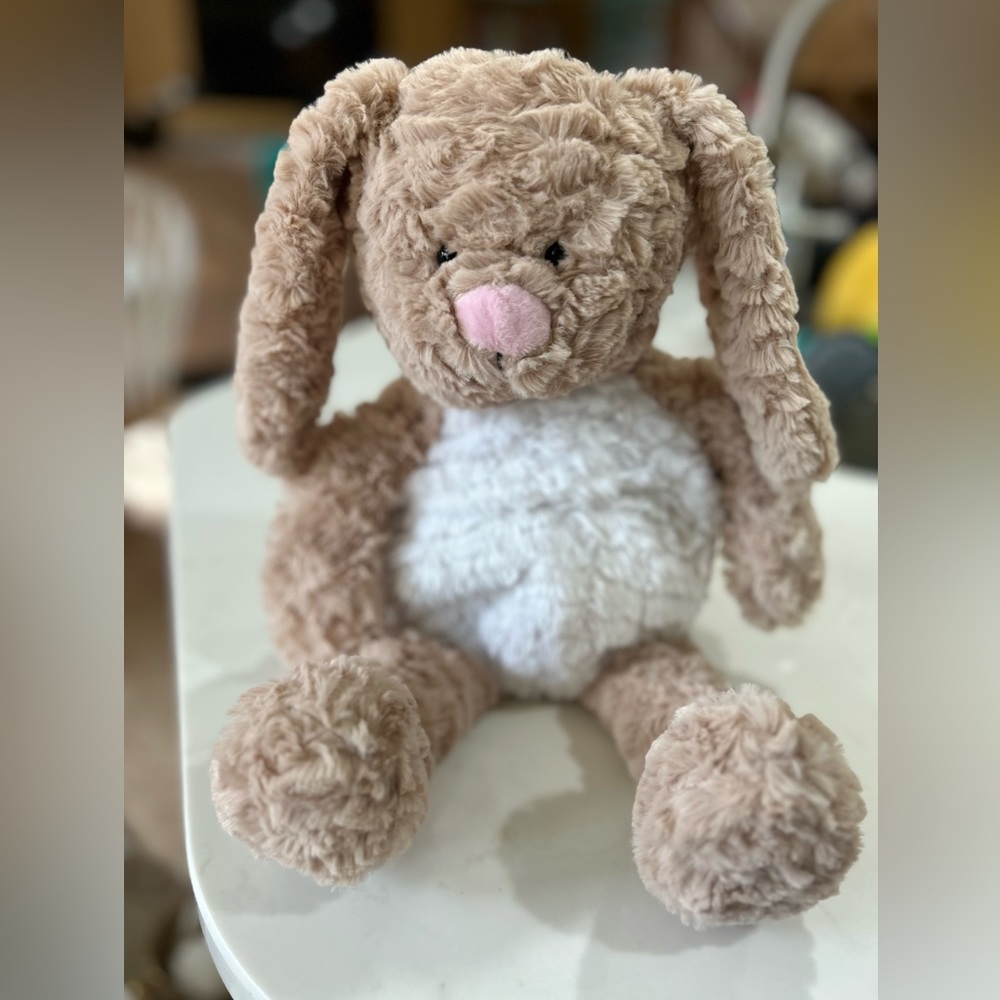 Aroma Home Bunny